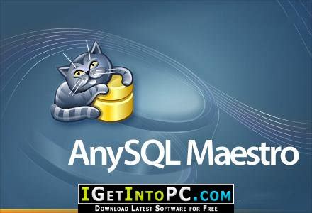 AnySQL Maestro Professional v16.12.0.15